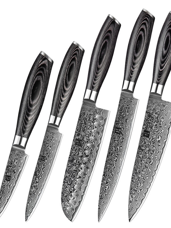 XINZUO 5 PCS Knife Set (B20-A5) with chef, santoku, carving, utility, and paring knives crafted with Damascus steel.