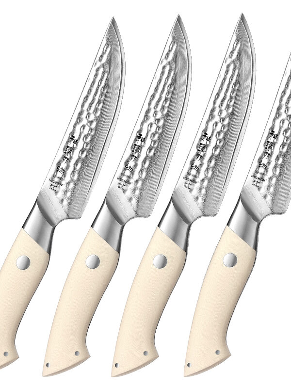 HEZHEN 4 PCS Steak Knife Set (B38H-4NP) with 67 layers Damascus steel for precision dining.